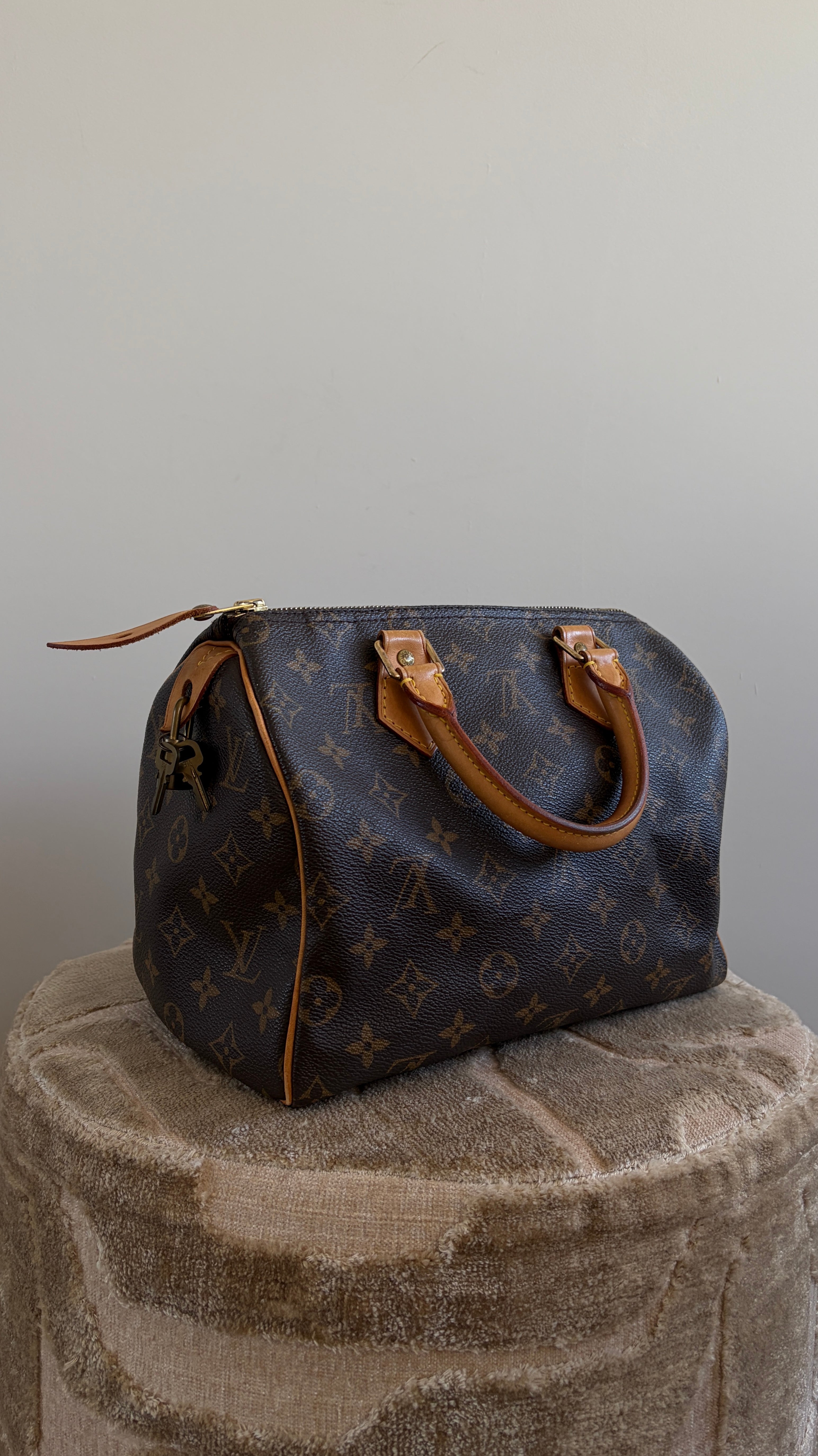 Louis Vuitton Speedy 25 - Productfoto 