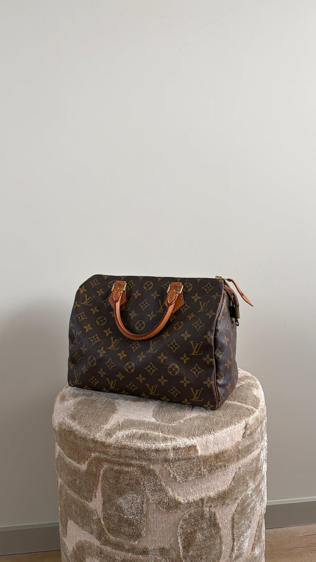 Louis Vuitton Speedy 30 - Productfoto 1