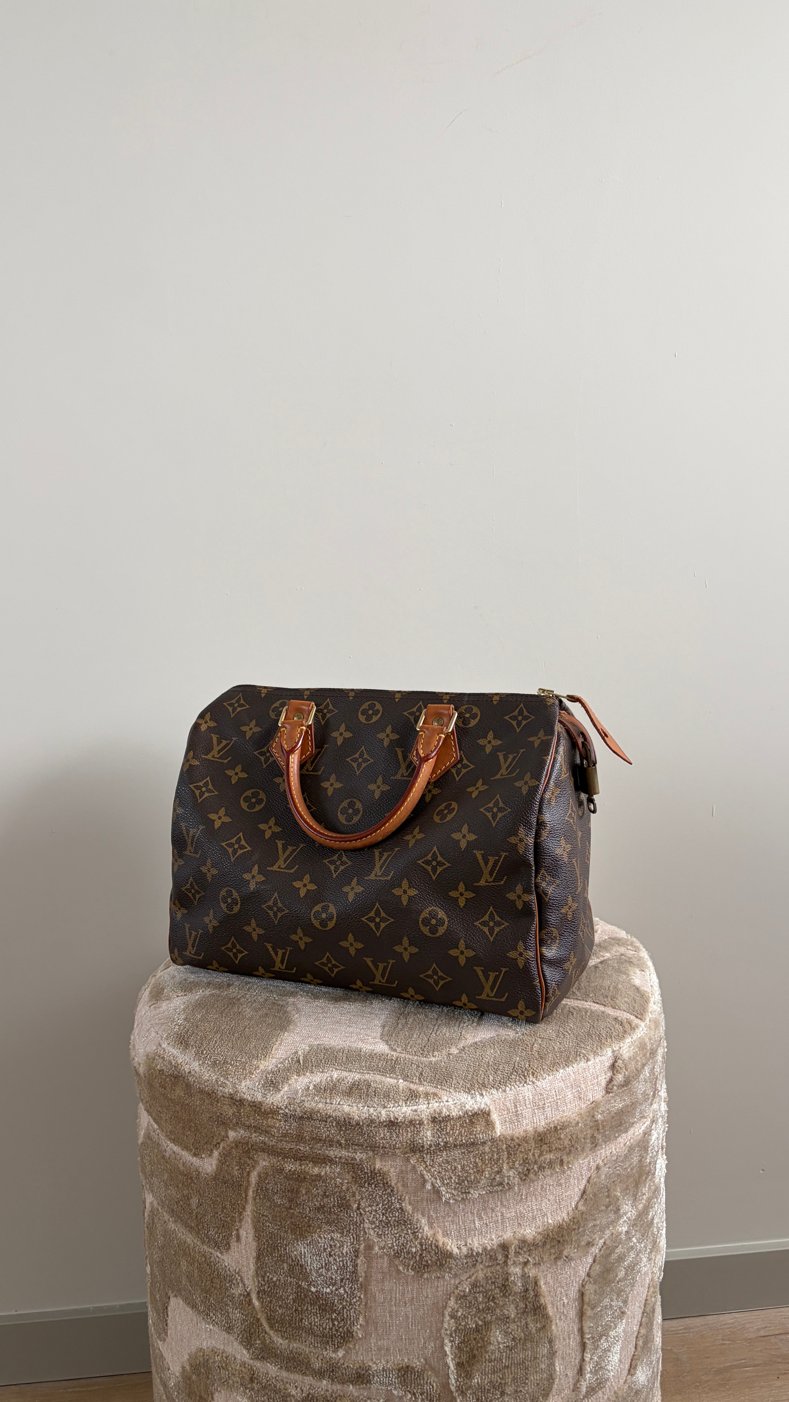 Louis Vuitton Speedy 30 - Productfoto 1
