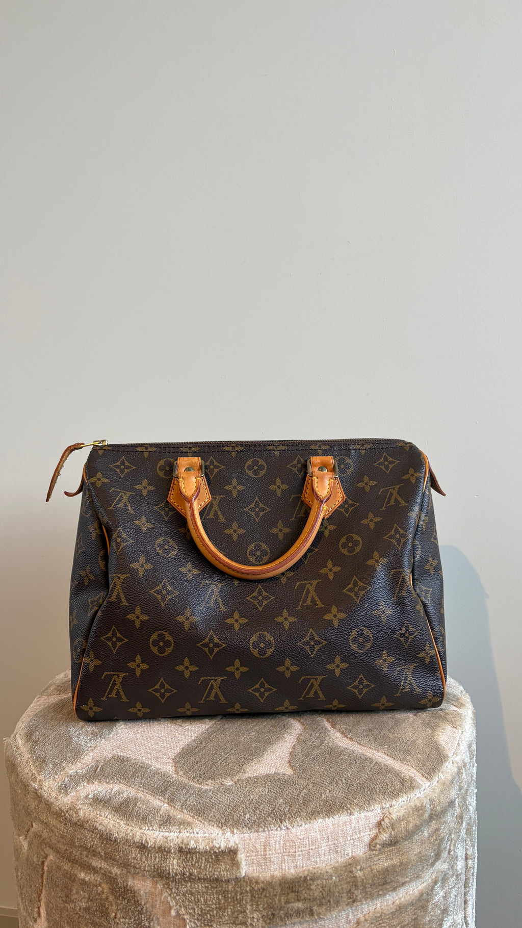 Louis Vuitton Speedy 30 - TRE25 - Productfoto 1