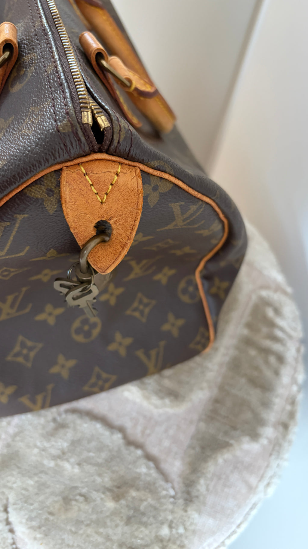 Louis Vuitton Speedy 30 - TRE26 - Productfoto 18