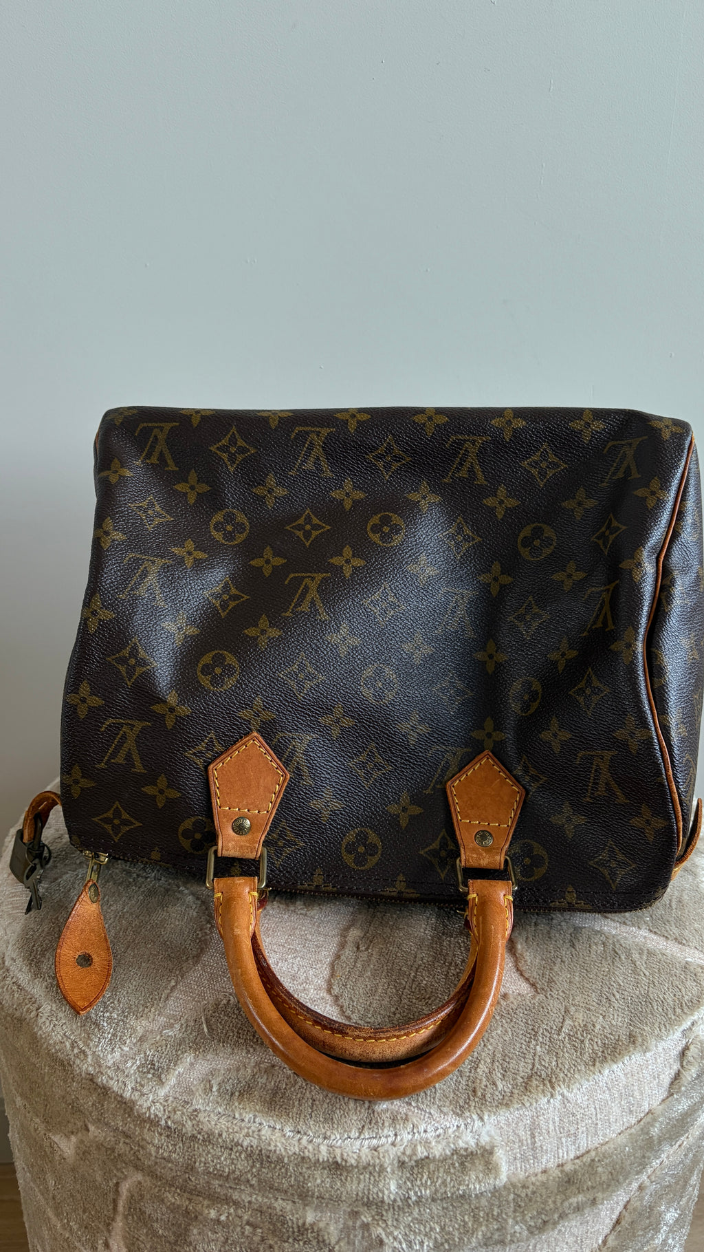 Louis Vuitton Speedy 30 - TRE26 - Productfoto 15