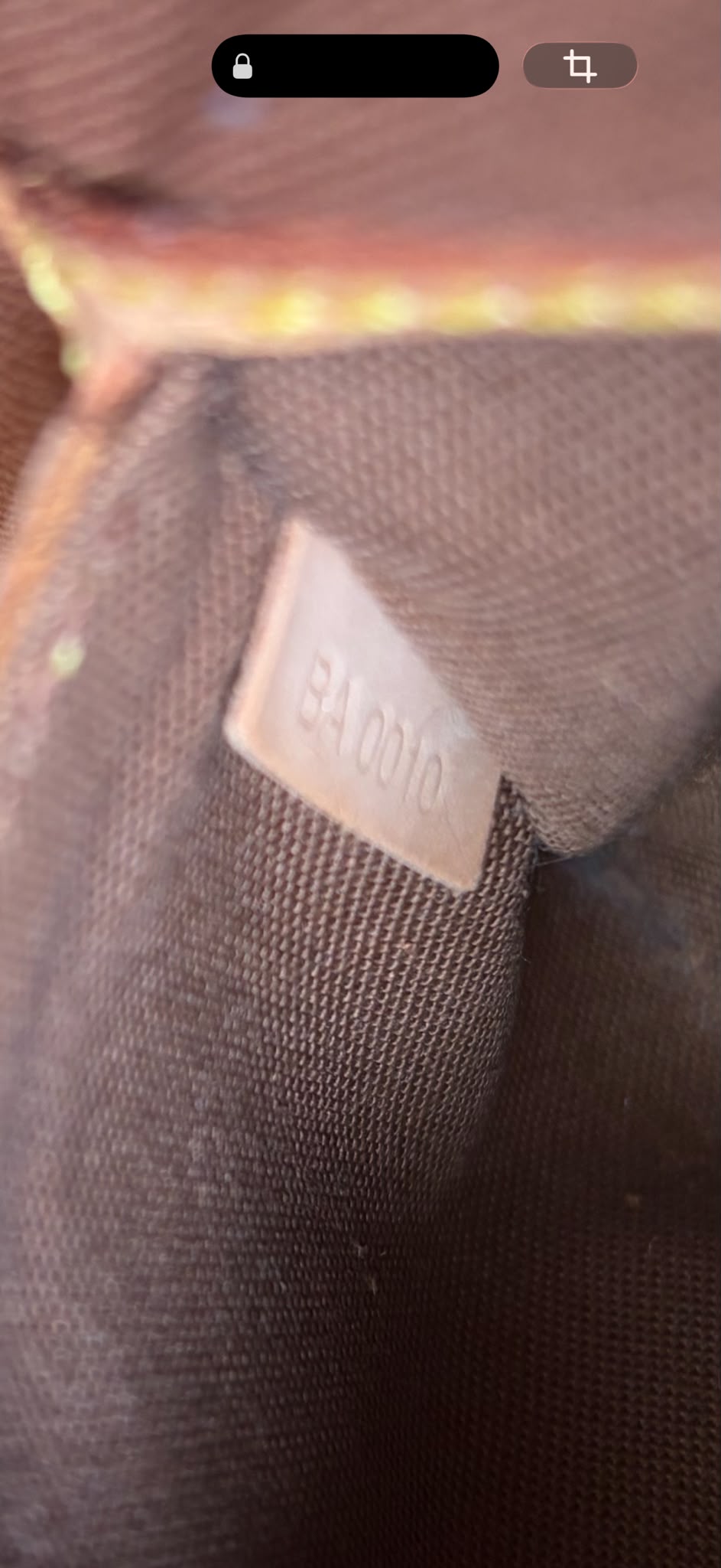 TRE106 - Louis Vuitton Alma - 15
