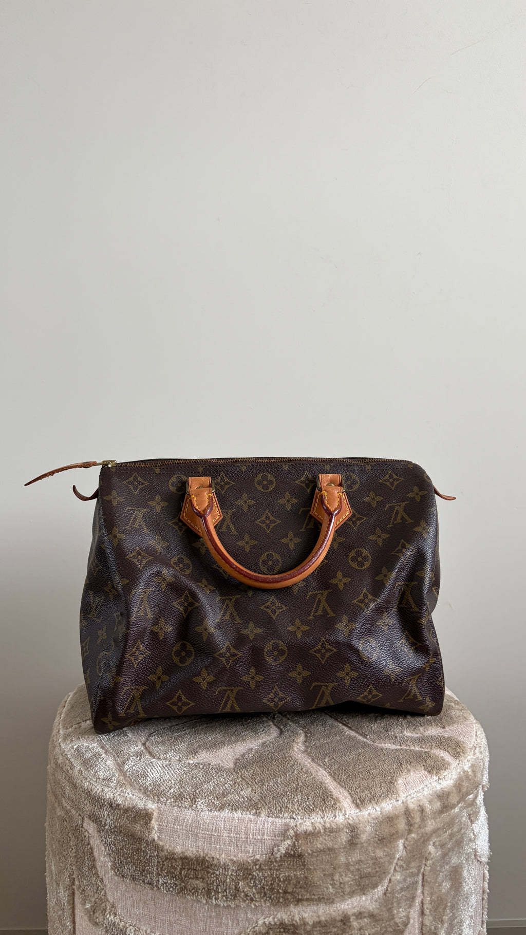 TRE55 - Louis Vuitton Speedy 30 - 3