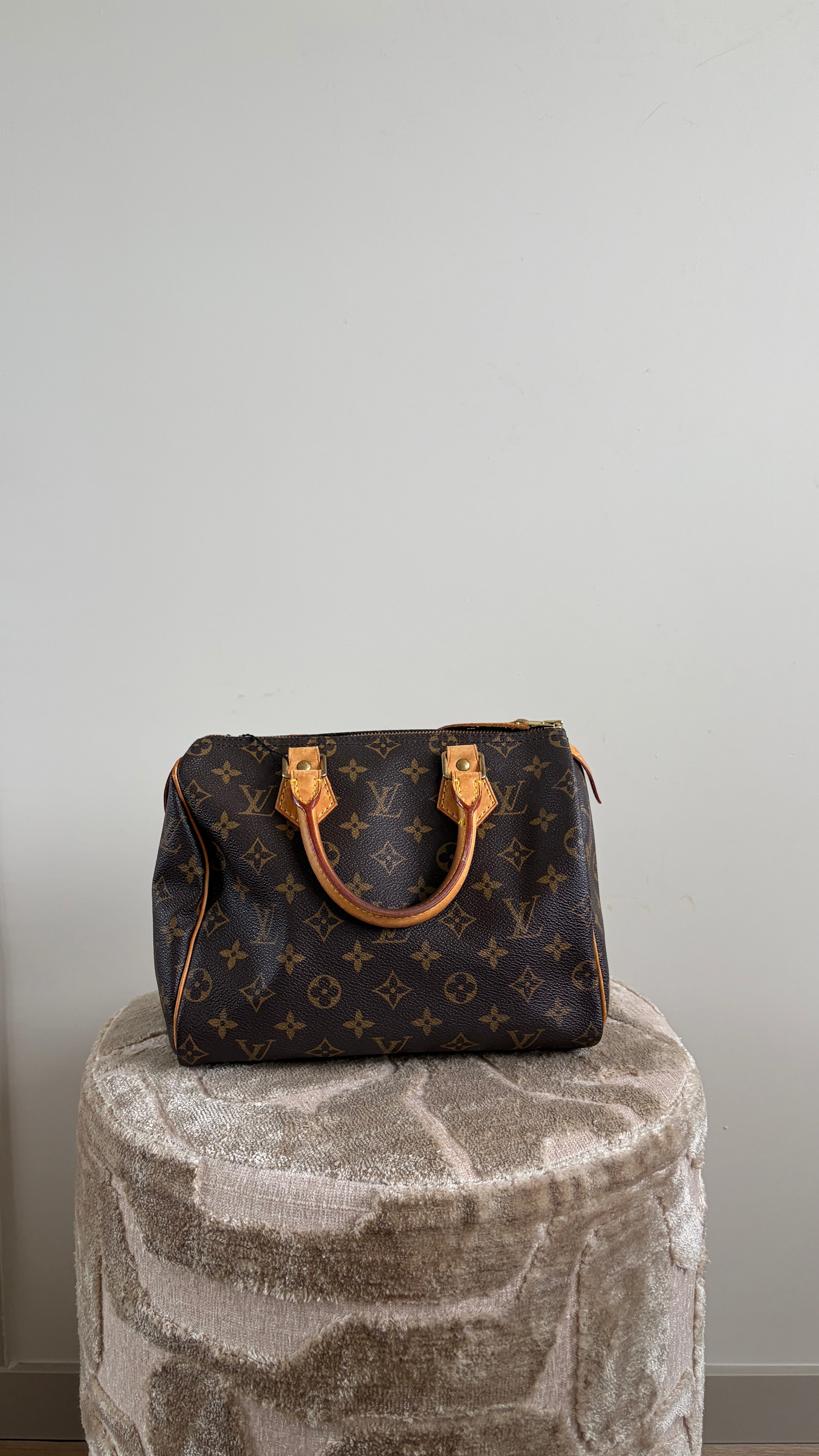 TRE56 - Louis Vuitton Speedy 25 - 1