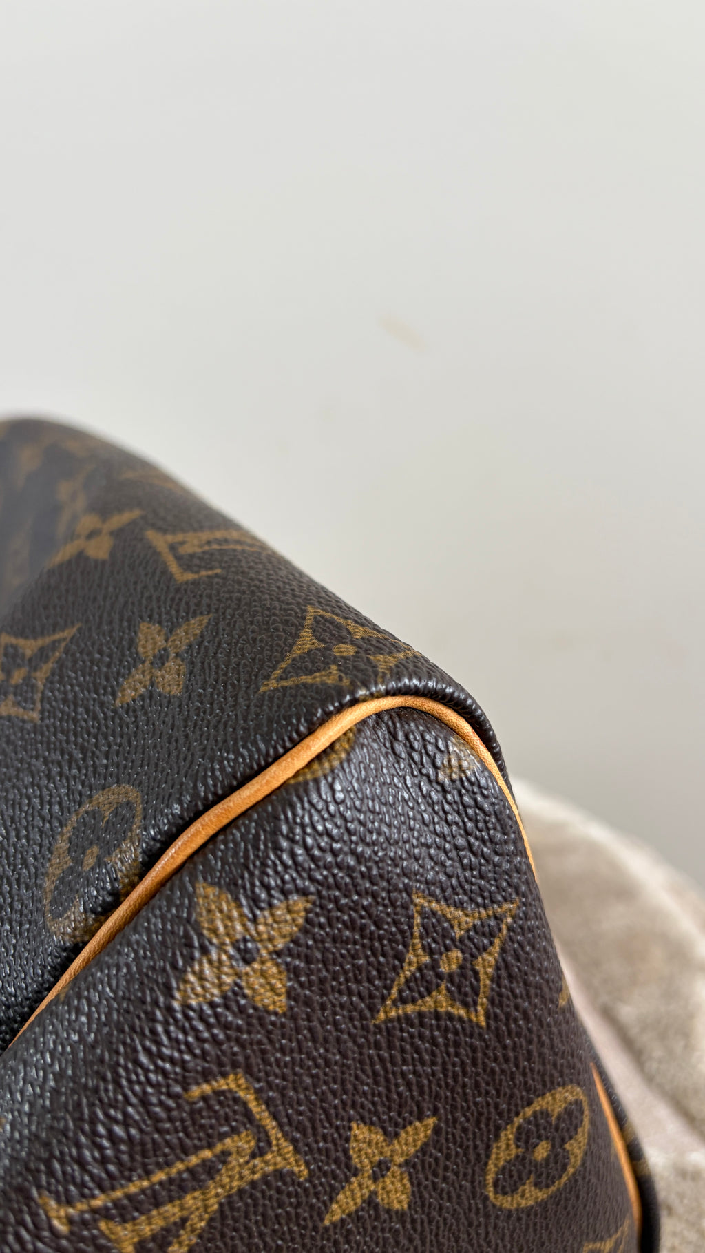 TRE56 - Louis Vuitton Speedy 25 - 16