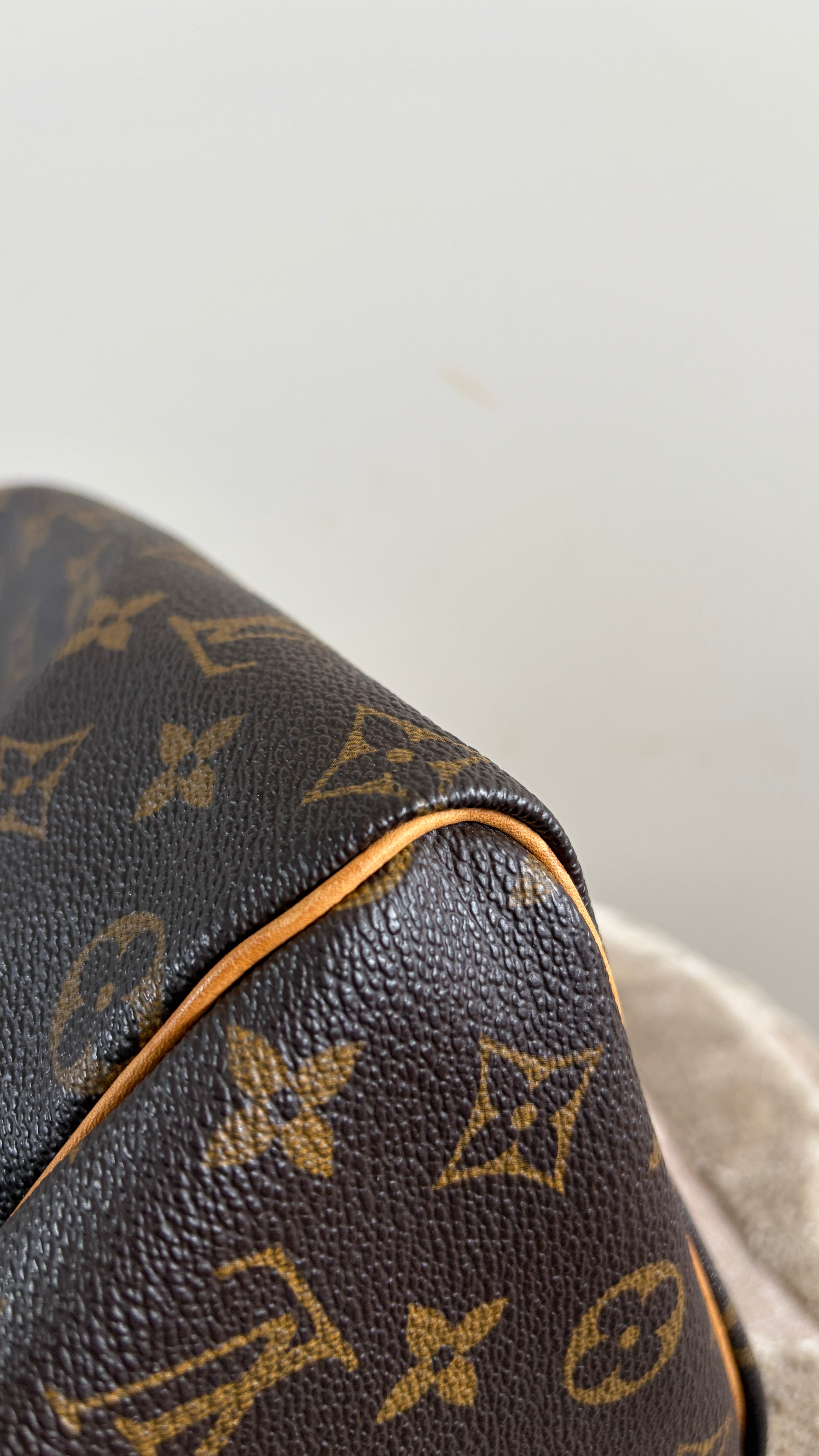 TRE56 - Louis Vuitton Speedy 25 - 16