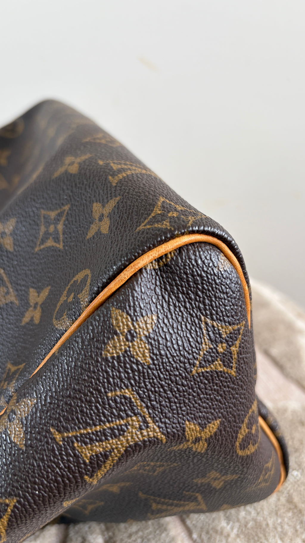 TRE56 - Louis Vuitton Speedy 25 - 18