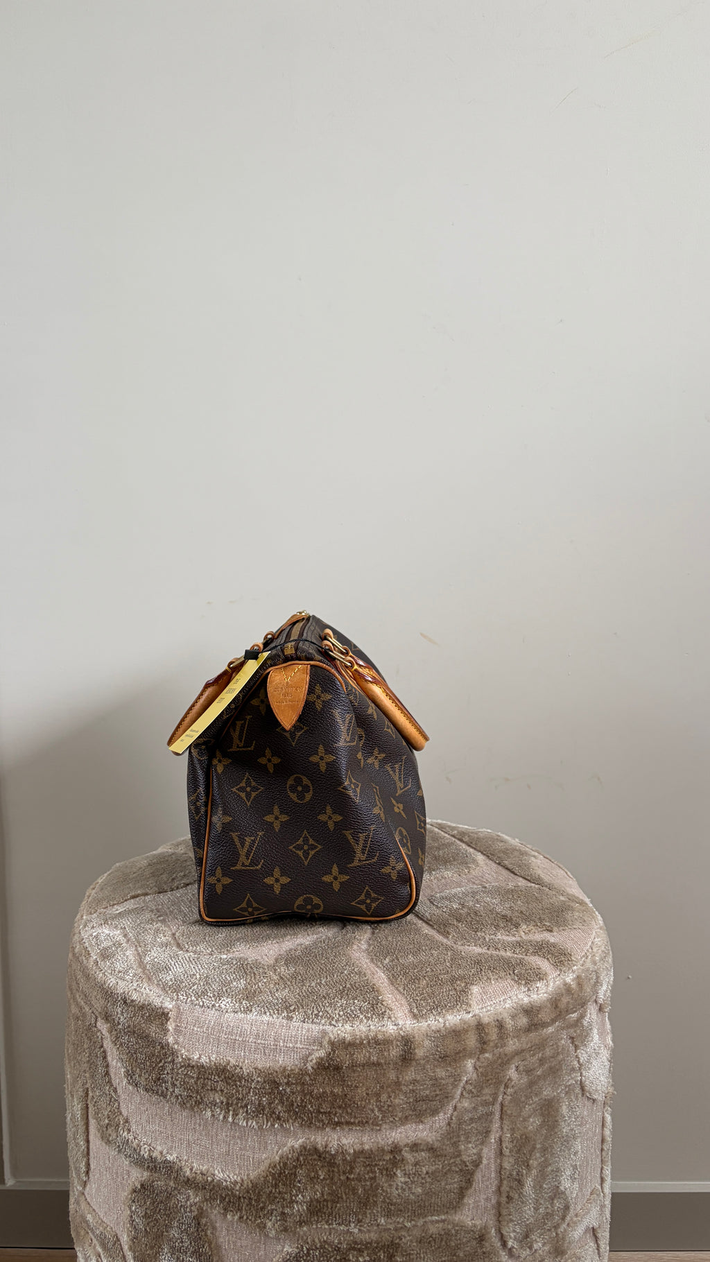 TRE56 - Louis Vuitton Speedy 25 - 2