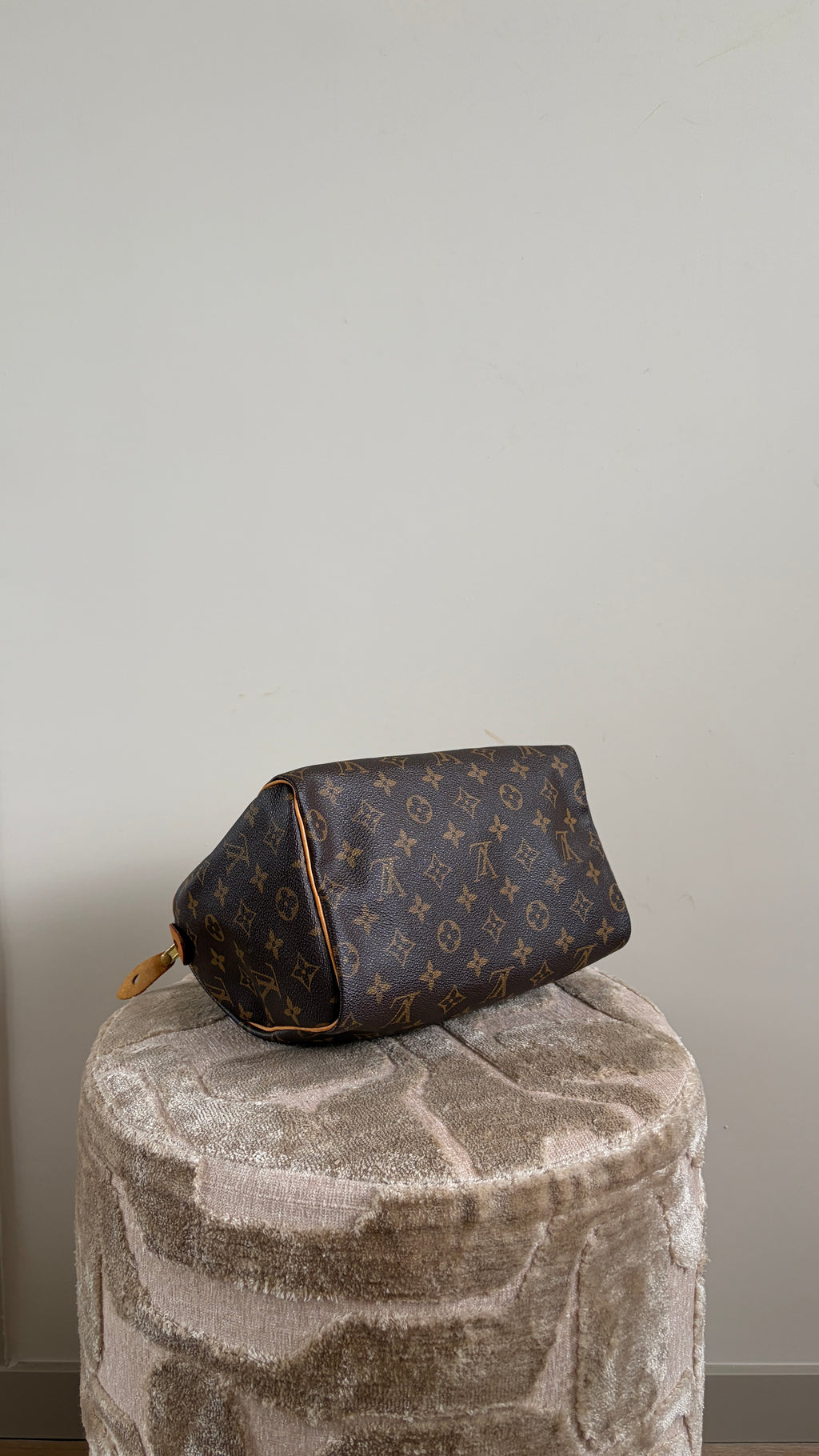 TRE56 - Louis Vuitton Speedy 25 - 5