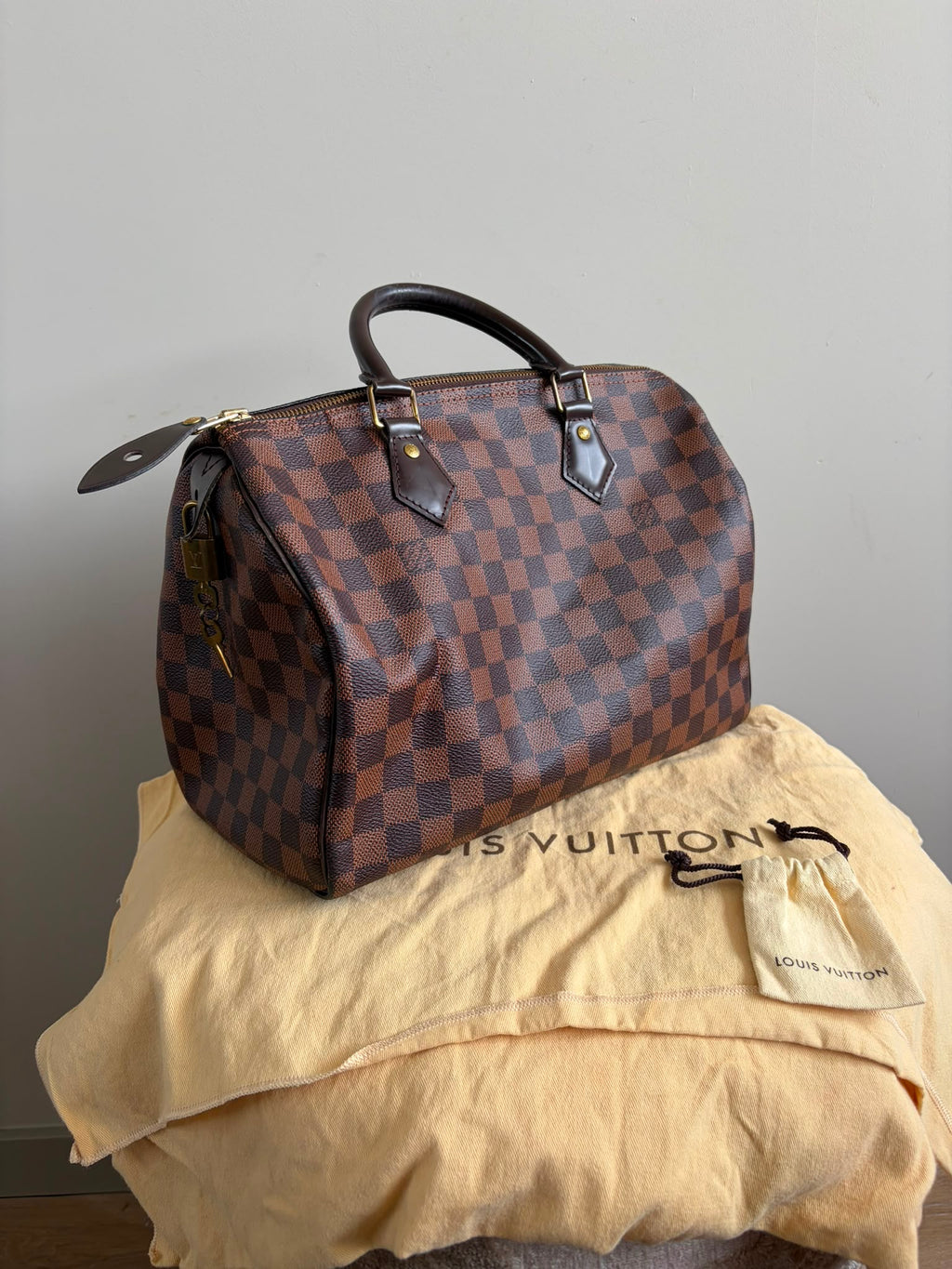 Louis Vuitton Speedy 30 Ebène Damier