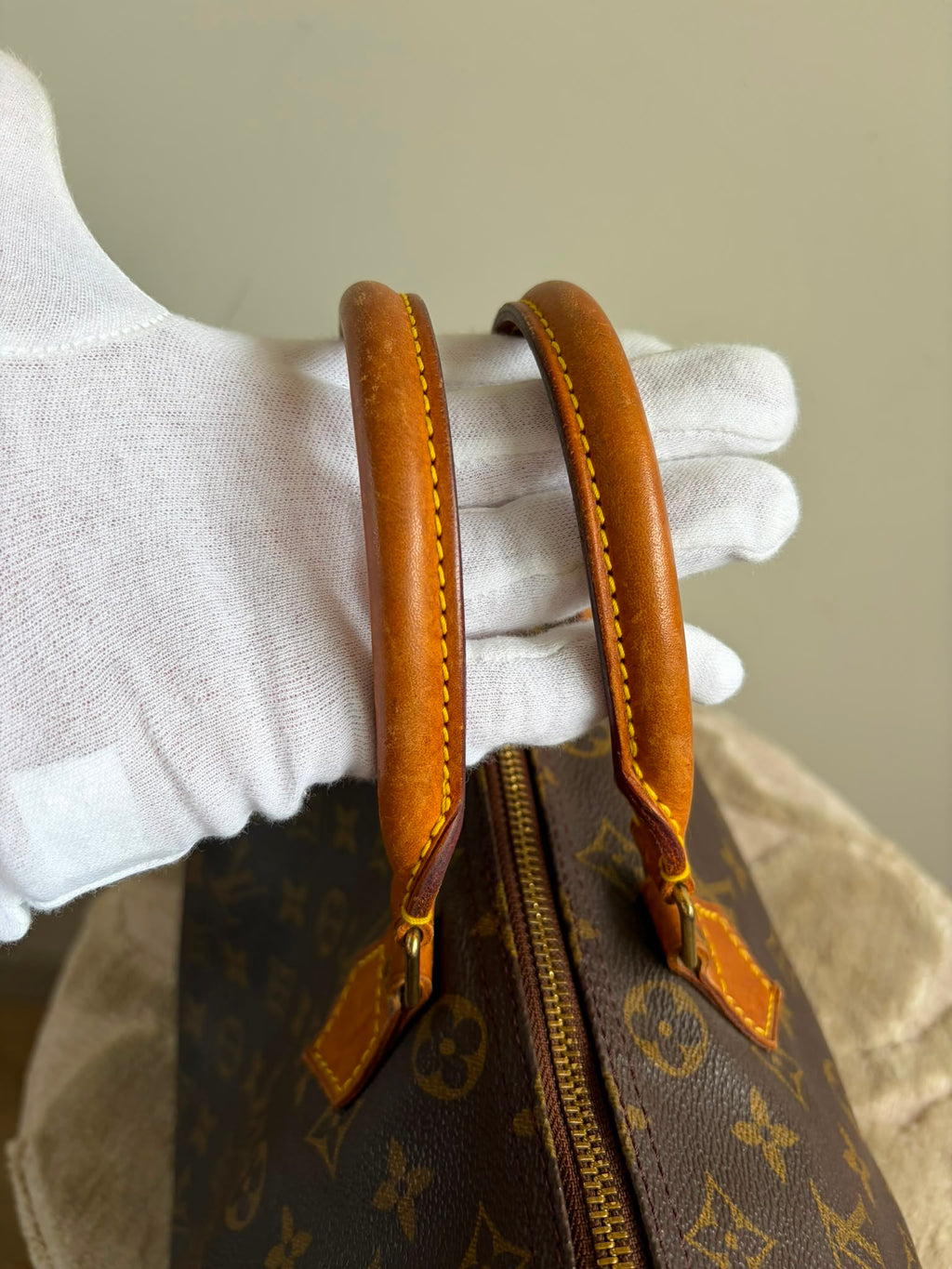 Louis Vuitton Speedy 30 monogram